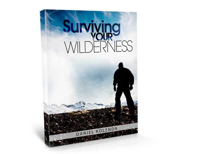 Surviving your Wilderness (Book)